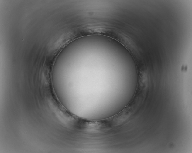 X0000112510414200908241425