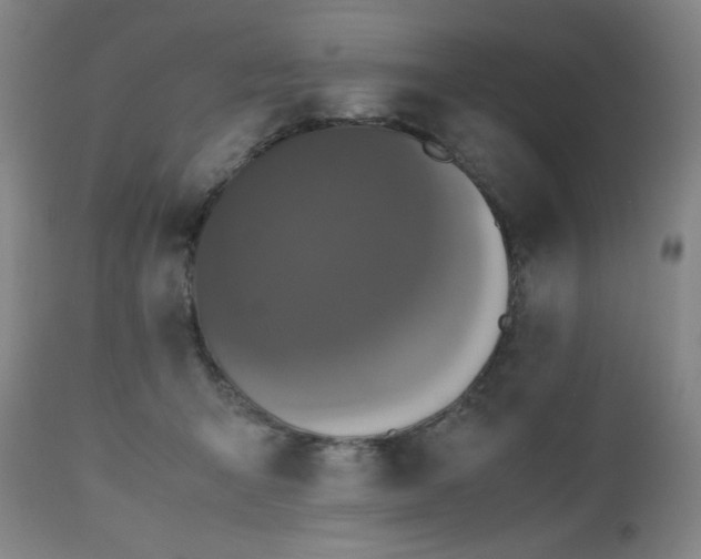 X0000112510415200908241425