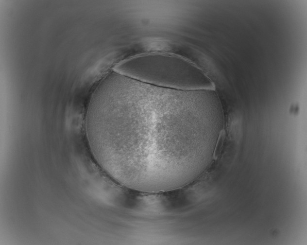 X0000112510417200908241425