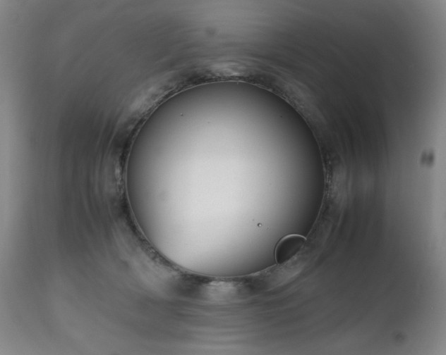 X0000112510418200908241425