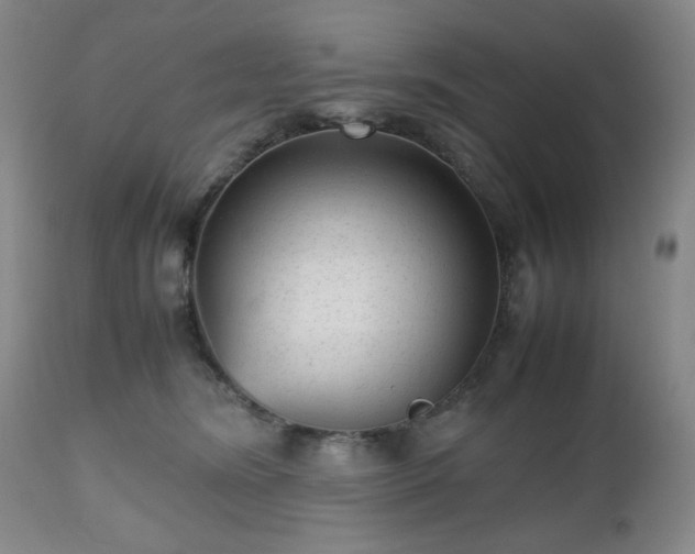 X0000112510420200908241424