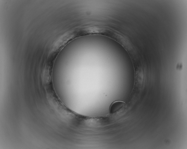 X0000112510422200908241424