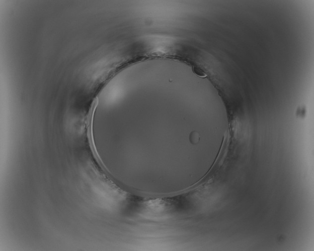 X0000112510423200908241424