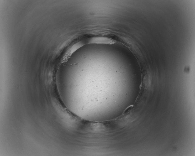 X0000112510424200908241424