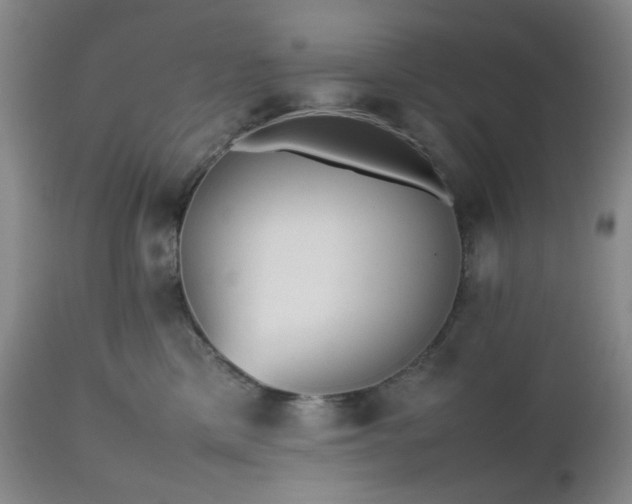 X0000112510425200908241424