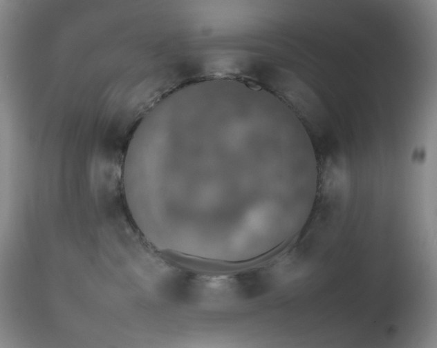 X0000112510427200908241424