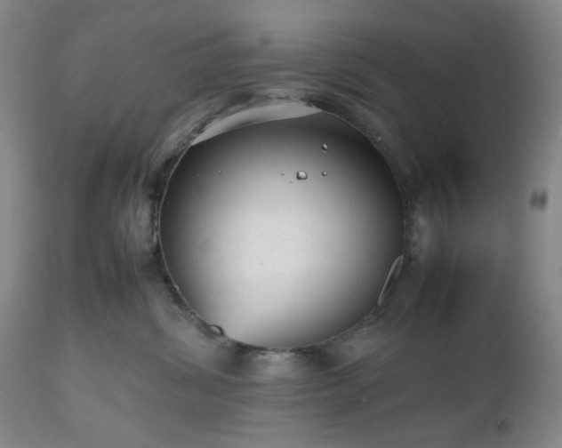 X0000112510428200908241424