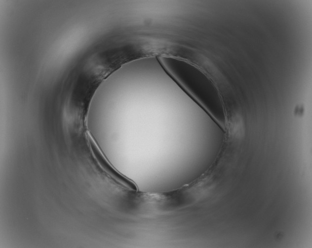 X0000112510429200908241424