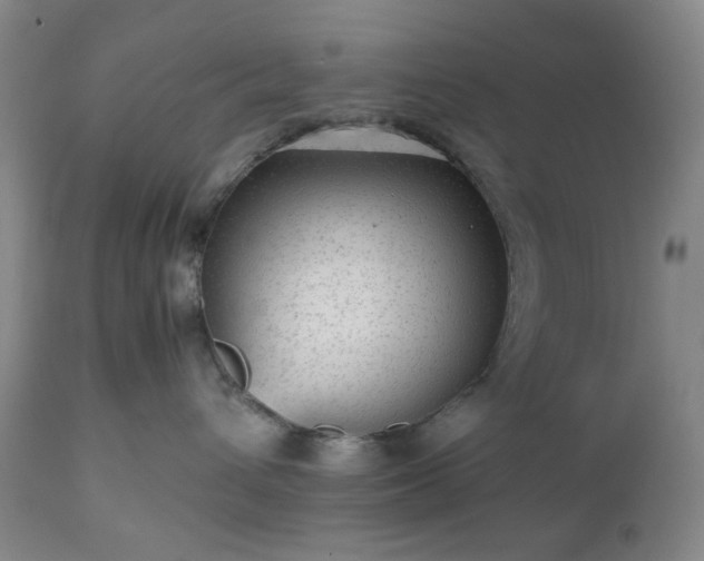 X0000112510432200908241424