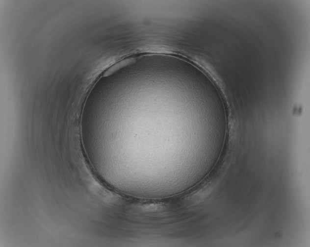 X0000112510433200908241424