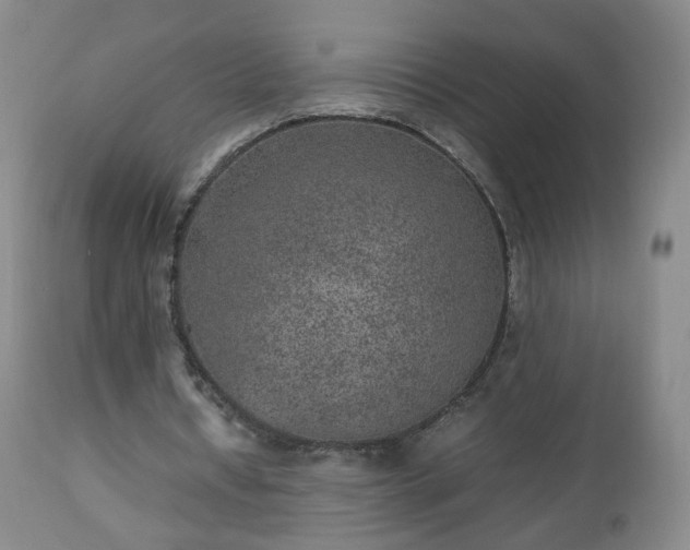 X0000112510434200908241424