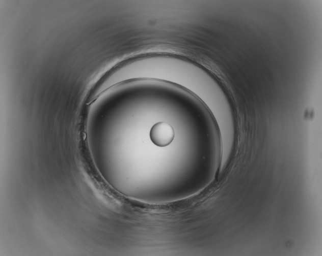 X0000112510436200908241424