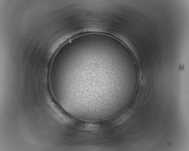 X0000112510437200908241424