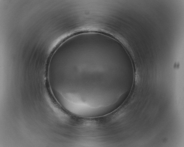 X0000112510438200908241424