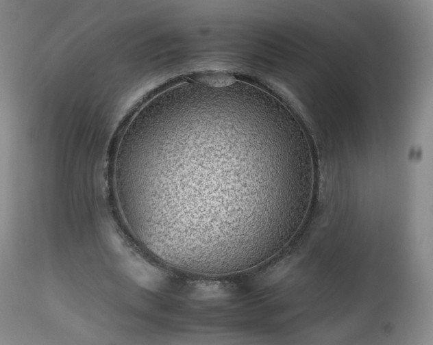 X0000112510439200908241424