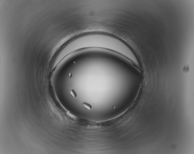 X0000112510440200908241424