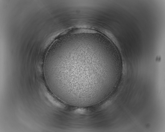 X0000112510441200908241424