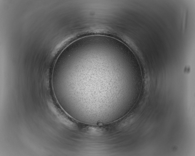 X0000112510442200908241424