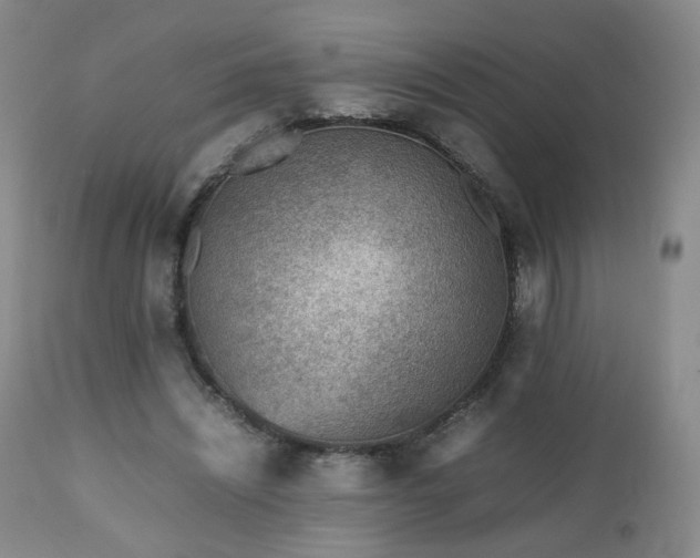 X0000112510444200908241424