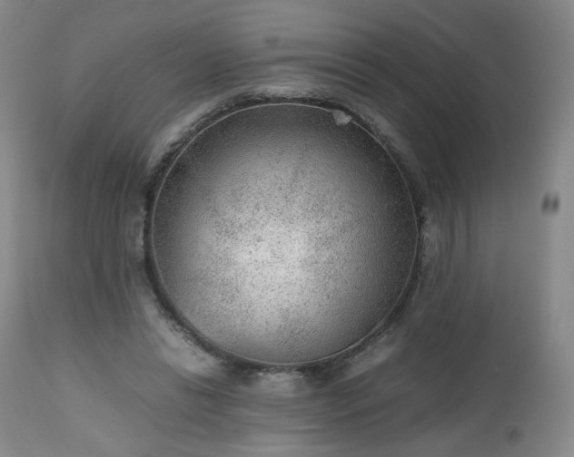 X0000112510446200908241424