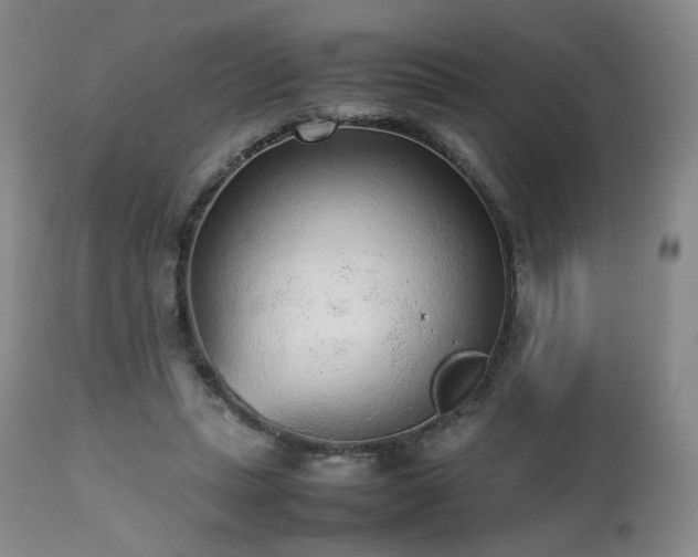 X0000112510447200908241424