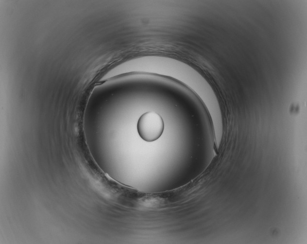 X0000112510452200908241424