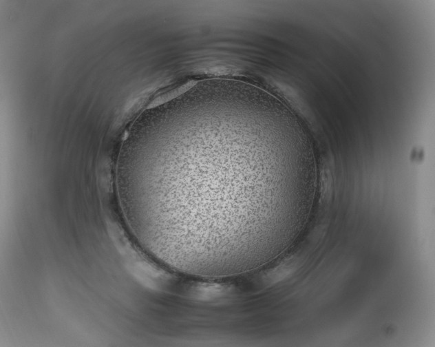 X0000112510453200908241424