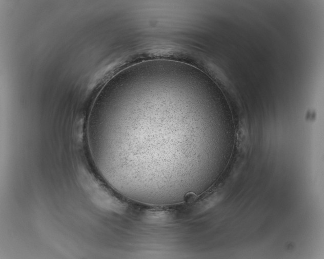 X0000112510454200908241424