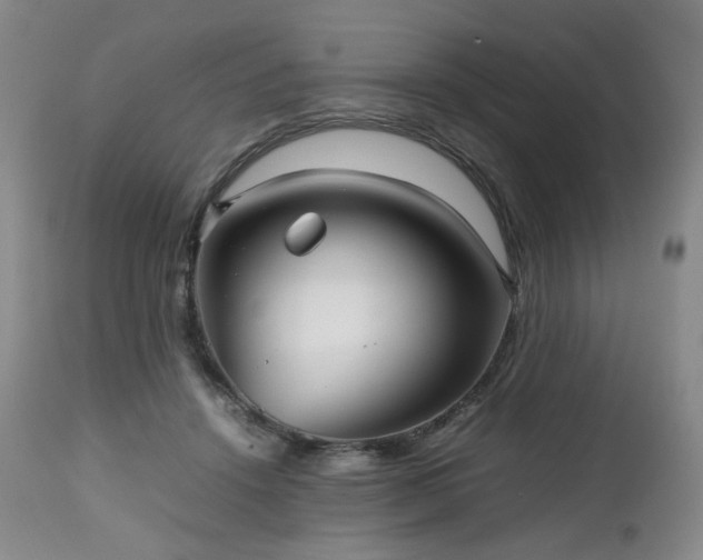 X0000112510456200908241424