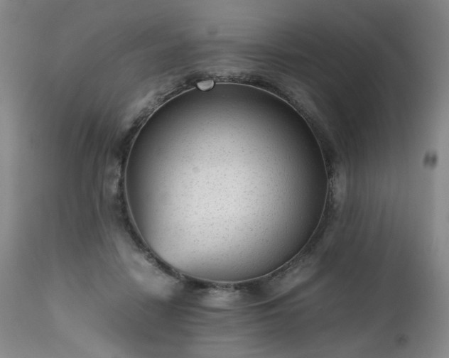 X0000112510458200908241424