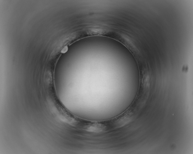 X0000112510459200908241424