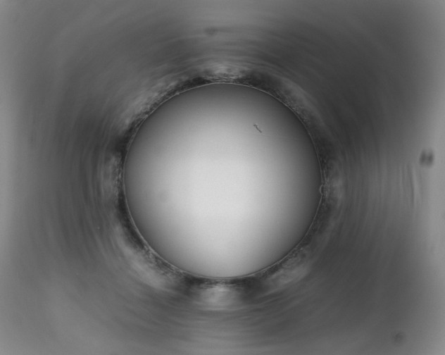 X0000112510460200908241424