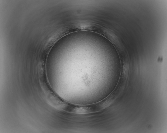 X0000112510461200908241424