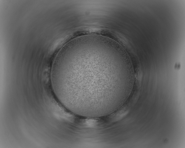 X0000112510462200908241424