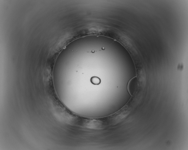 X0000112510463200908241424