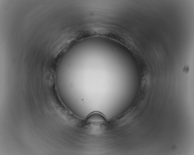 X0000112510464200908241424