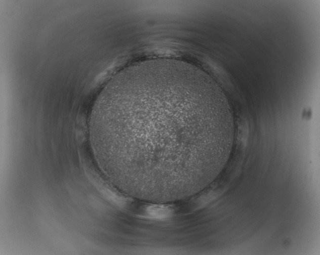 X0000112510465200908241424