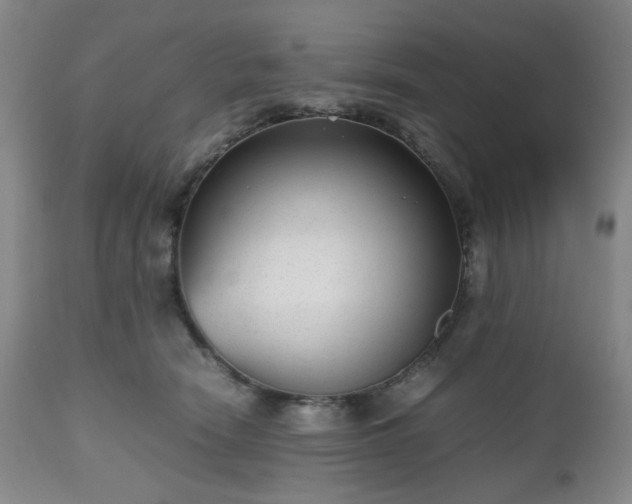 X0000112510466200908241424