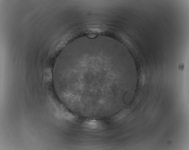 X0000112510467200908241424