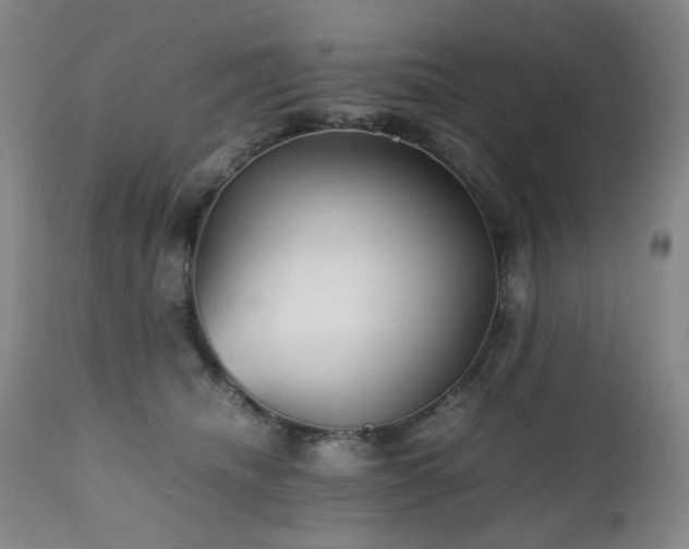 X0000112510468200908241424