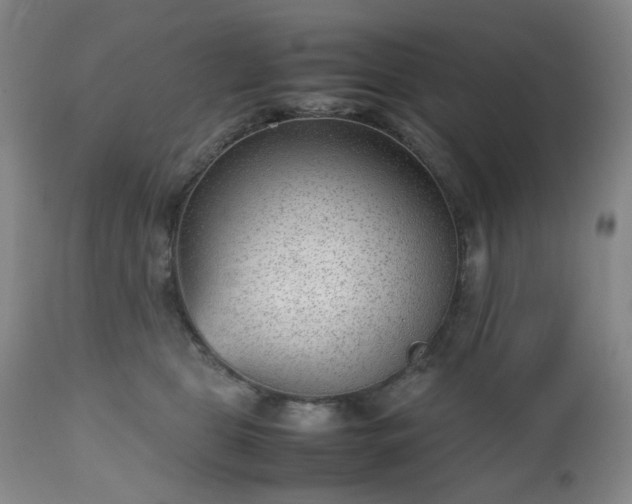 X0000112510469200908241424