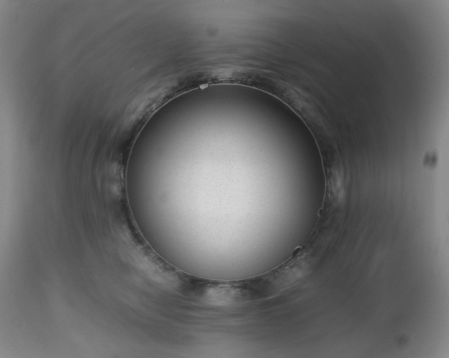 X0000112510470200908241424