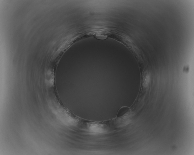 X0000112510471200908241424