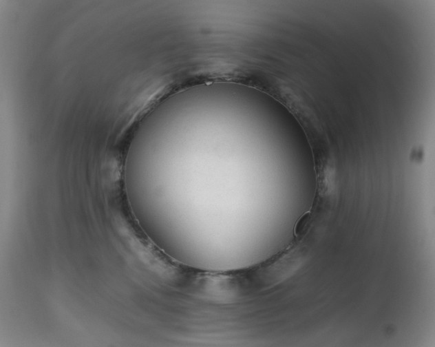 X0000112510472200908241424