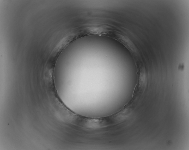 X0000112510473200908241424