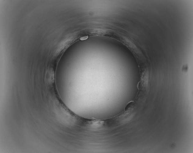 X0000112510474200908241424