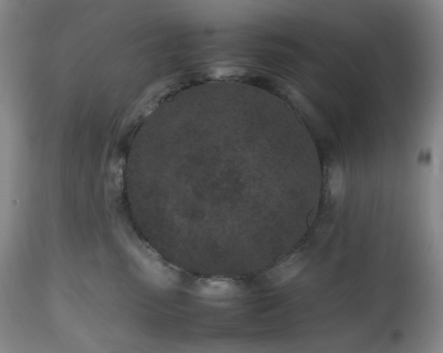 X0000112510475200908241424