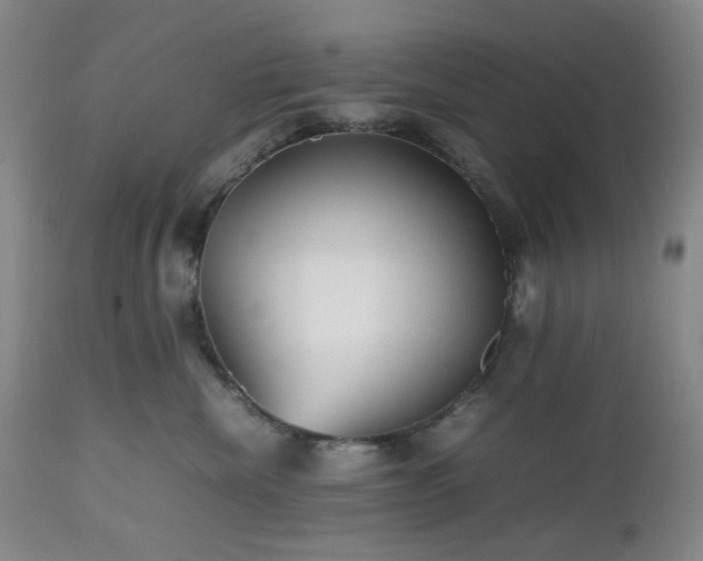 X0000112510476200908241424