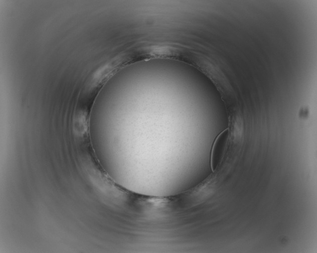 X0000112510478200908241424