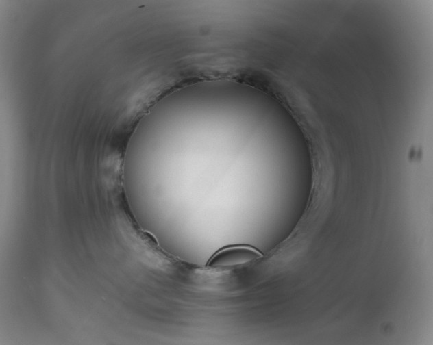 X0000112510480200908241424